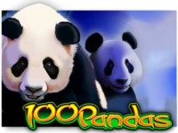100 Pandas Spielautomat