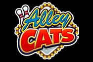 Alley Cats Spielautomat ohne Anmeldung