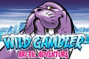 Arctic Adventure Spielautomat freispiel