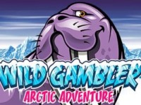 Arctic Adventure Spielautomat