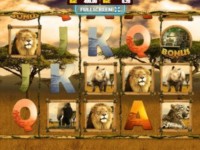 Big 5 Safari Spielautomat