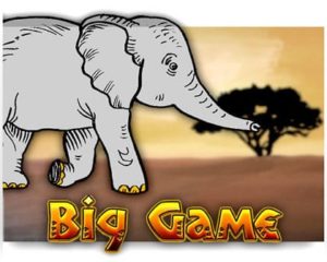 Big Game Casino Spiel kostenlos spielen