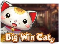 Big Win Cat Spielautomat