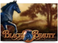 Black Beauty Spielautomat