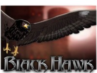Black Hawk Spielautomat