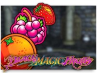 Black Magic Fruits Spielautomat