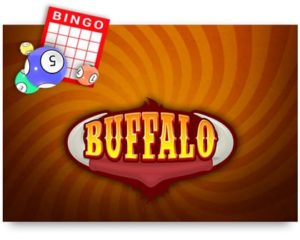 Buffalo Casino Spiel kostenlos