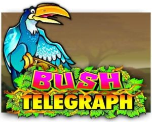 Bush Telegraph Videoslot ohne Anmeldung