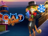 Cat in vegas Spielautomat