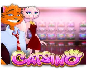 Catsino Casino Spiel kostenlos