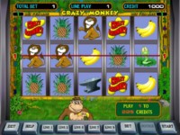 Crazy Monkey Spielautomat
