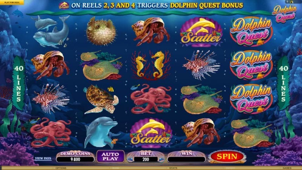 Dolphin Quest online Automatenspiel