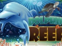 Dolphin Reef Spielautomat