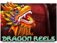 Dragon Reels Spielautomat
