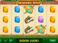 Dragons Wild Spielautomat