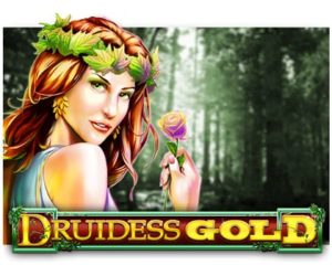 Druidess Gold Spielautomat online spielen