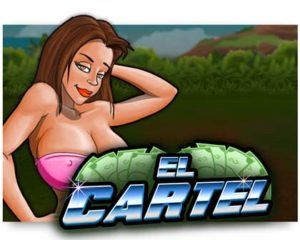 El Cartel Video Slot freispiel