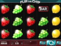 Flip the Chip Spielautomat