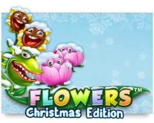 Flowers Christmas Edition Casinospiel kostenlos