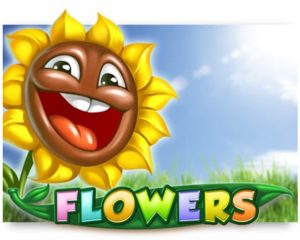 Flowers Casino Spiel kostenlos