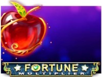 Fortune Multiplier Spielautomat