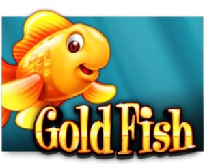 Goldfish Casinospiel online spielen