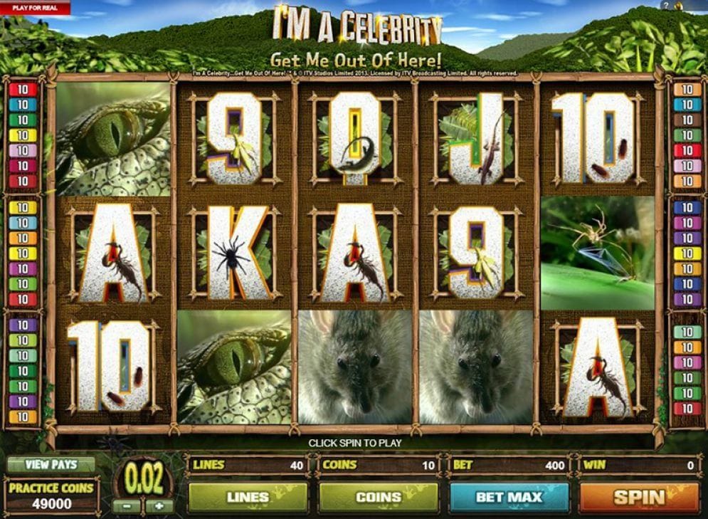 I’m Celebrity Get Me Out Of Here online Video Slot