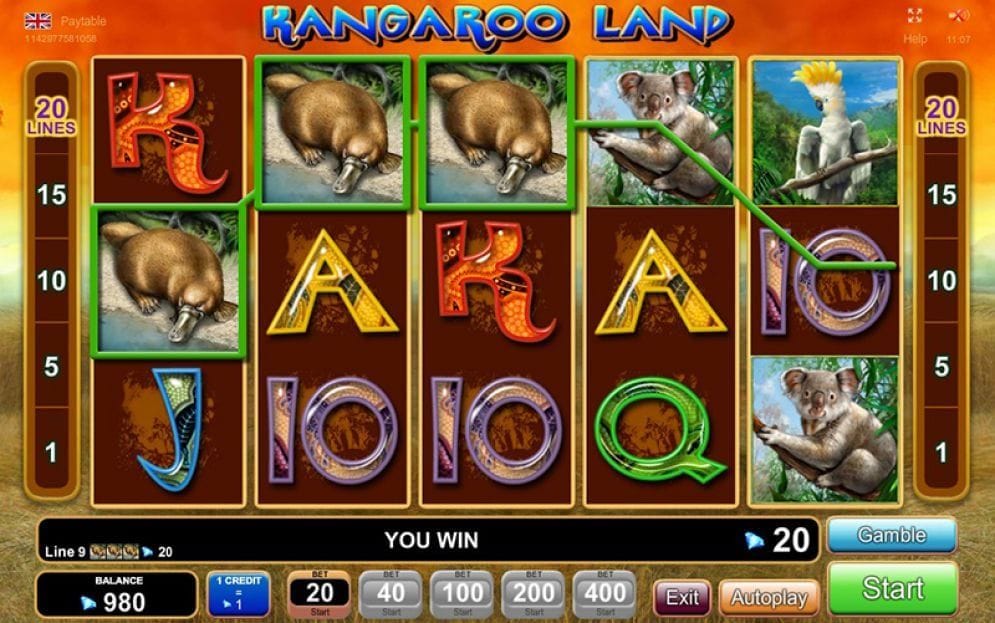 Kangaroo Land online Casinospiel