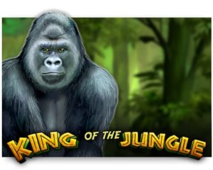 King of the Jungle Videoslot freispiel