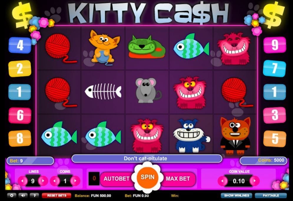 Kitty Cash online Casinospiel