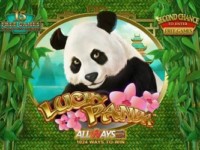 Lucky Panda Spielautomat