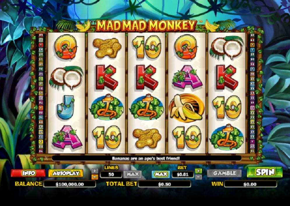 Mad Mad Monkey Video Slot