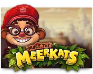 Meet the Meerkats Videoslot kostenlos spielen