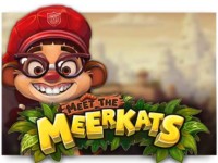 Meet the Meerkats Spielautomat
