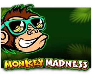 Monkey Madness Videoslot online spielen