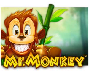 Mr. Monkey Video Slot freispiel