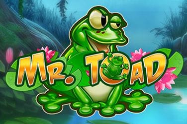Mr Toad Video Slot online spielen