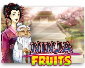 Ninja Fruits Casinospiel online spielen