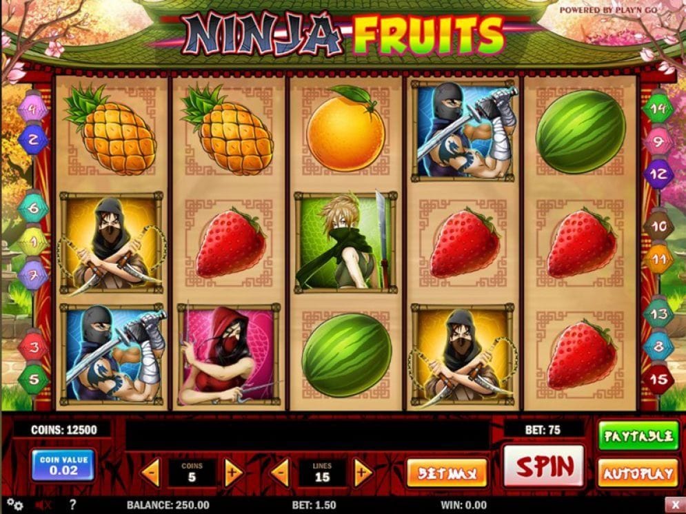 Ninja Fruits online Videoslot