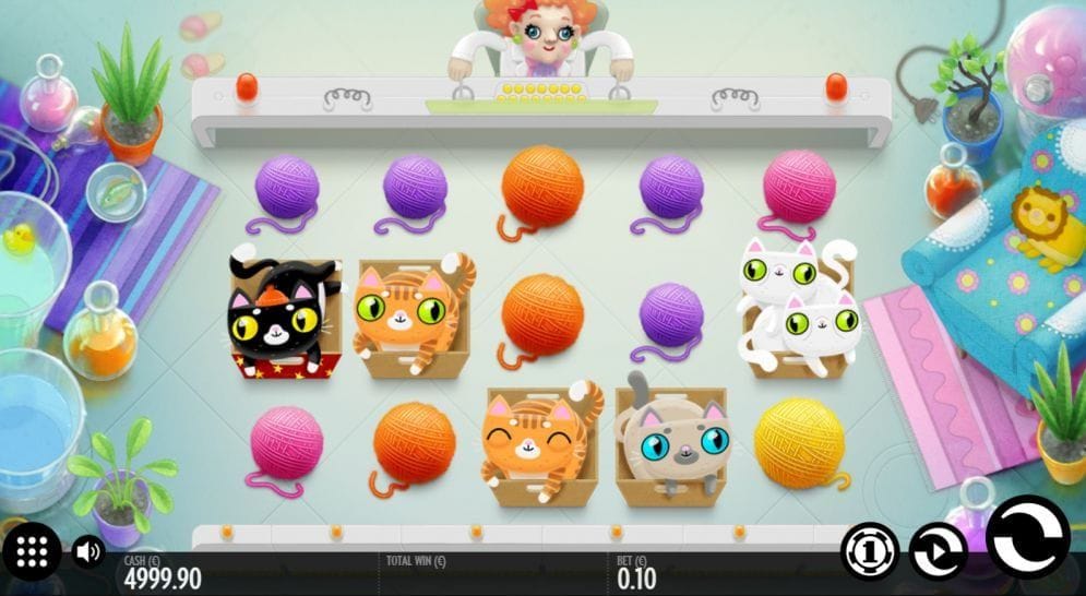Not Enough Kittens online Spielautomat