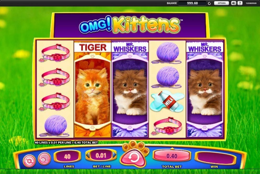 OMG! Kittens online Spielautomat