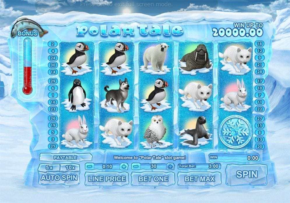 Polar Tale online Casino Spiel