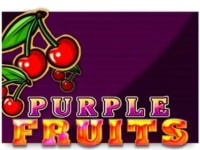 Purple Fruits Spielautomat