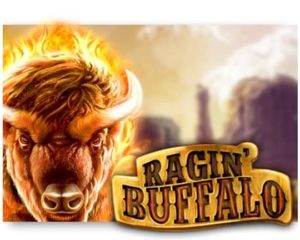 Ragin' Buffalo Automatenspiel freispiel
