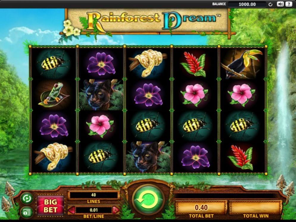 Rainforest Dream online Casinospiel