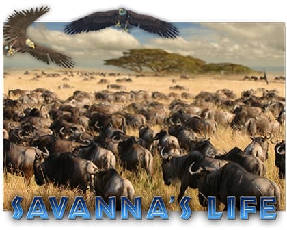 Savanna's Life Casinospiel online spielen