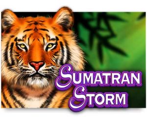 Sumatran Storm Video Slot freispiel