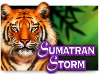 Sumatran Storm Spielautomat