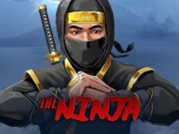 The Ninja Spielautomat