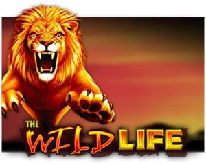 The Wild Life Spielautomat online spielen